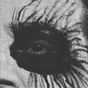 Meet your Posher, Jan